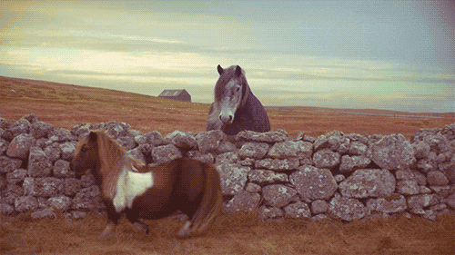 External image 031aa94b25a2e3c33fd009592d8fbacffbc7442d