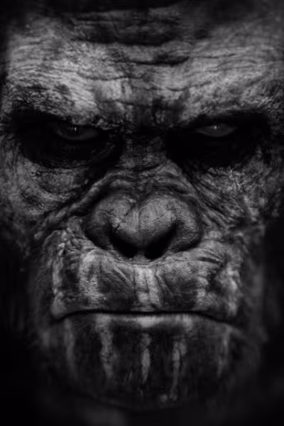 CIBASS_Dawn_of_the_planet_of_the_apes_Koba