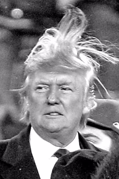 CIBASS Donald Trump Principal