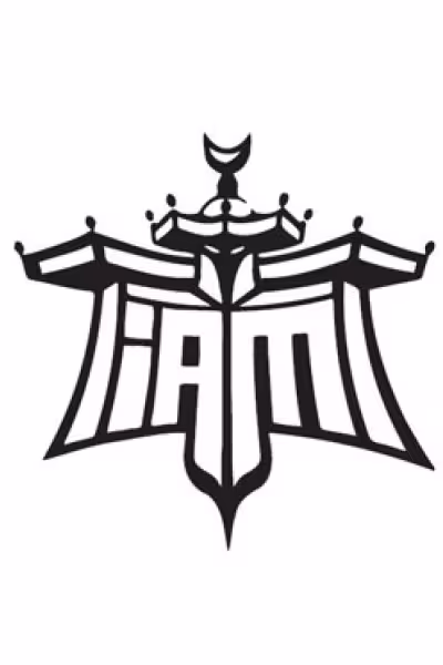 CIBASS IAM logo principal