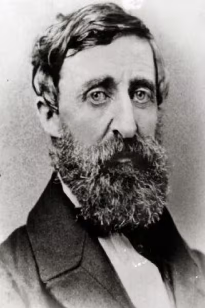 CIBASS Henry David Thoreau principal