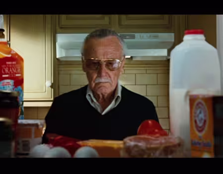 stanleecameo
