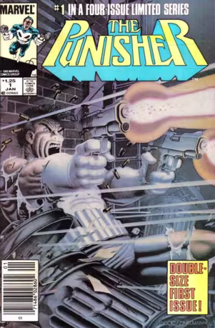 punishercover1