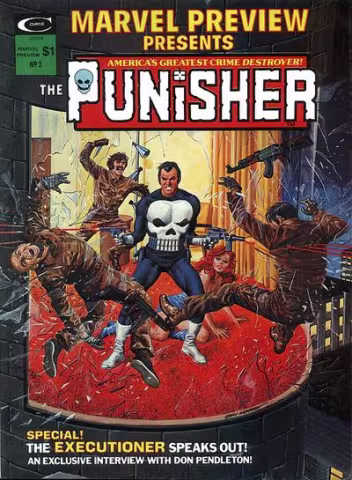 punishercover13