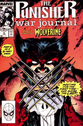 punishercover17