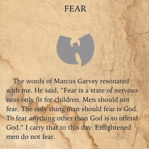 CIBASS The Tao of Wu - Fear