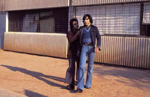 Perros Callejeros de José Antonio de la Loma, 1977