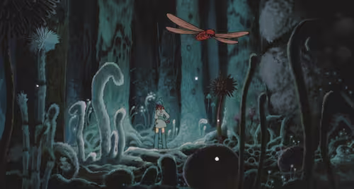 CIBASS nausicaa