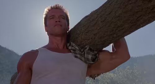 CIBASS Commando-wood