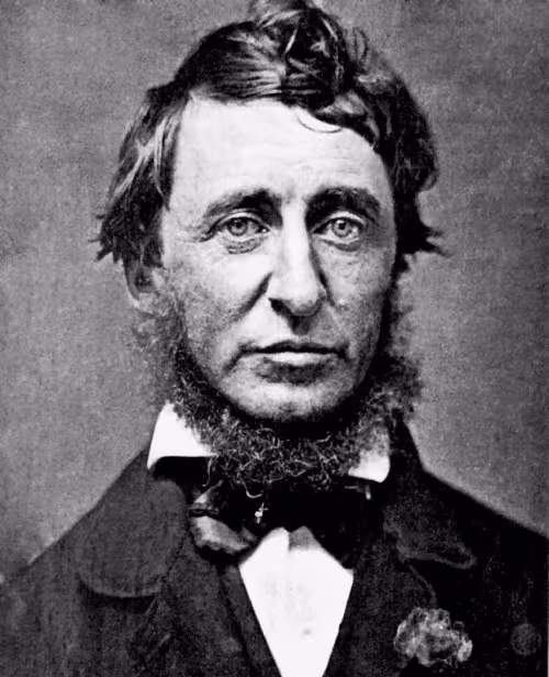 CIBASS Henry_David_Thoreau