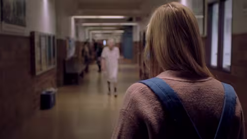 It_follows_cibass