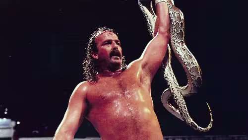 CIBASS Jake Snake 1