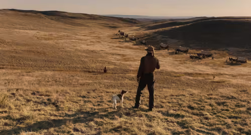ballad-of-buster-scruggs-netflix-coen-3
